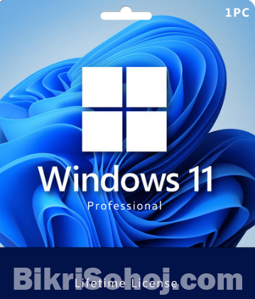 Windows 11 Professional